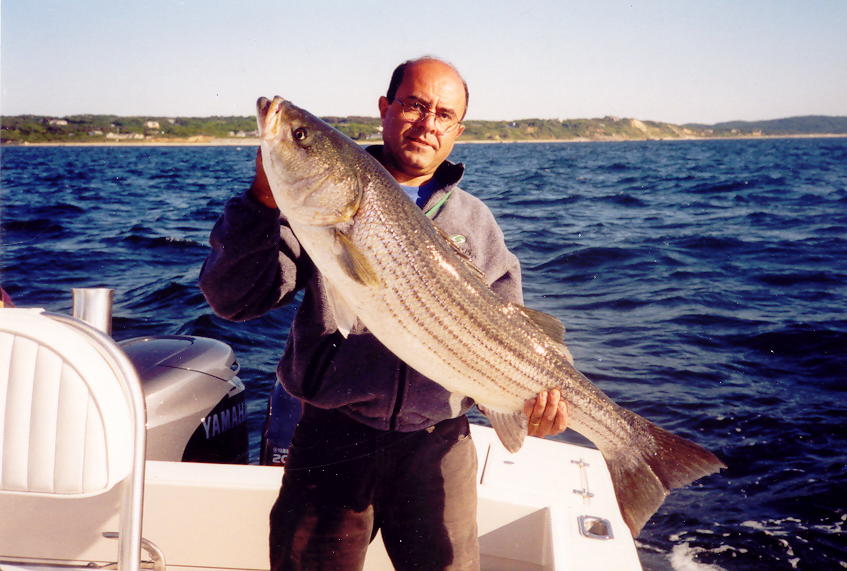 30.2_pounder.jpg (84620 bytes)