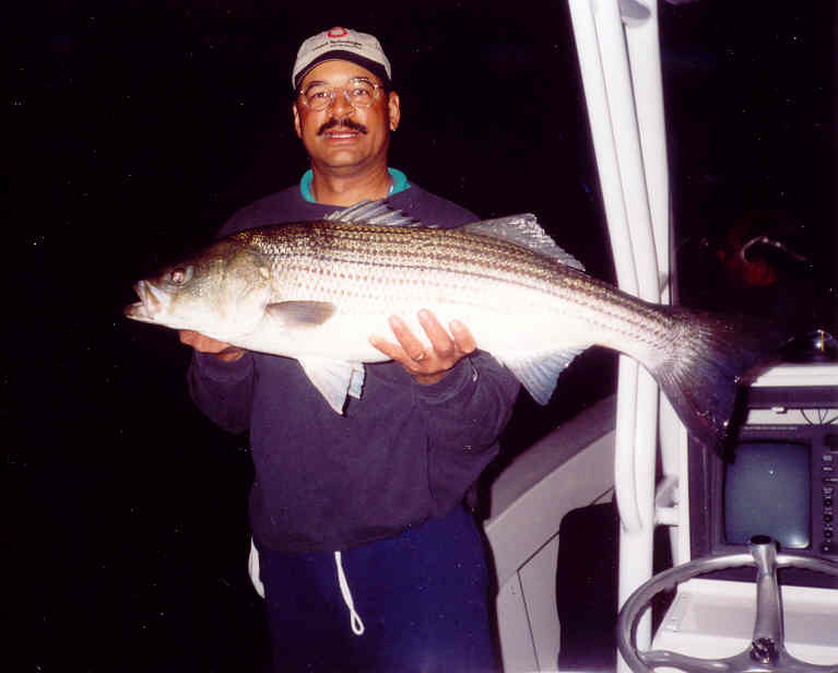 NortonNightBass.jpg (32708 bytes)