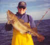 TomCod_small.jpg (2174 bytes)