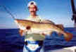 Tony_Cod_small.jpg (2282 bytes)