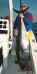 rob_tuna2_fix_small.JPG (4168 bytes)
